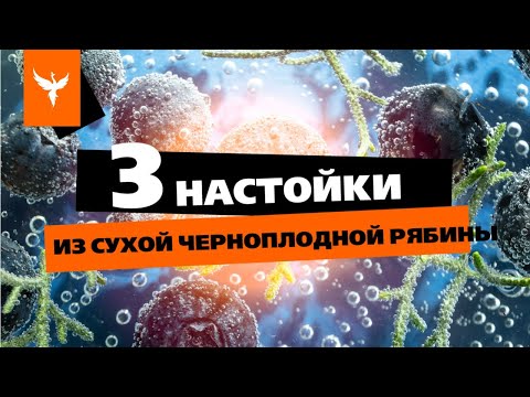 Видео: рДЖ 76: Три настойки из сухой черноплодной рябины. Вкусно, густо, чуть терпко и в меру сладко