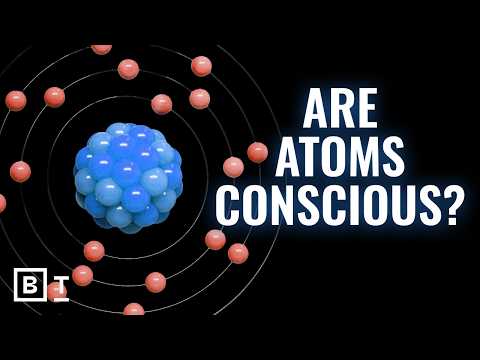 Видео: Наука разрушает наши интуитивные представления о сознании | Аннака Харрис