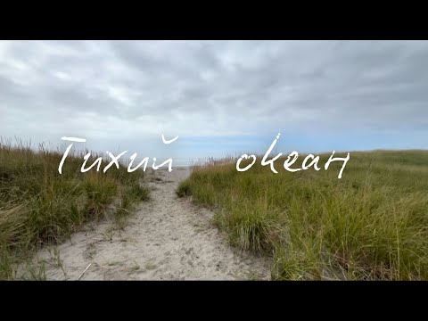 Видео: В гостях у океана