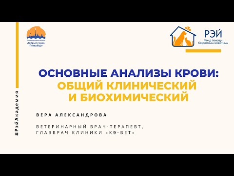 Видео: Основные анализы крови: общий клинический и биохимический