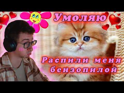 Видео: ОлешаБолтает №12 | Хочу завести котёнка | Шумные соседи | Электросамокаты