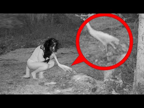 Видео: ОТ ЭТИХ ВИДЕО ВЫ ПОТЕРЯЕТЕСЬ! Страшилки и Страшные Видео