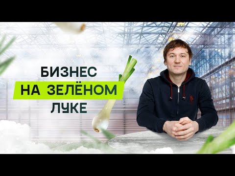Видео: Бизнес на зелёном луке. Продажа зелёного лука в Новый год!