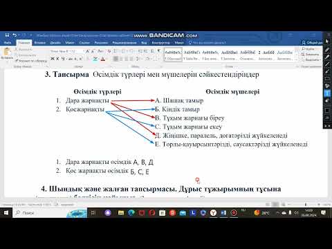 Видео: Биология 8 сынып бжб 1 1 тоқсан жаңа нұсқа
