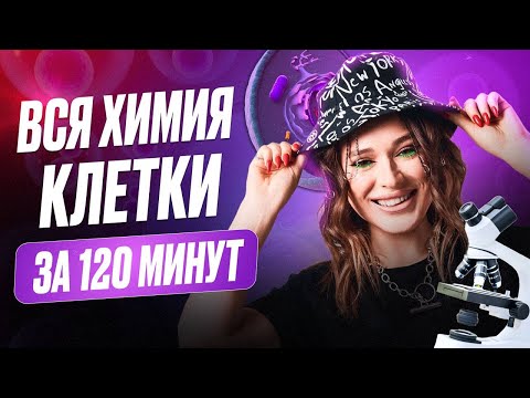 Видео: ВСЁ о химическом строении КЛЕТКИ за 2 часа! / Химический СОСТАВ клетки к ЕГЭ по биологии 2025!