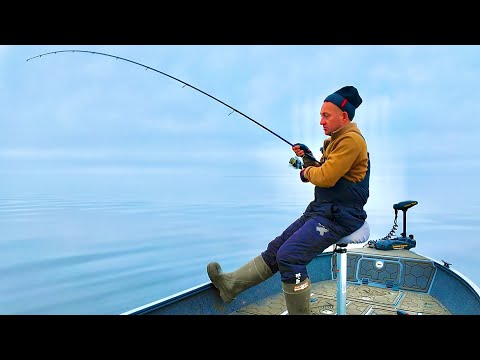 Видео: Нарешті ЗНАЙШОВ!!! Судаки Кременчуцького ВОДОСХОВИЩА!!!