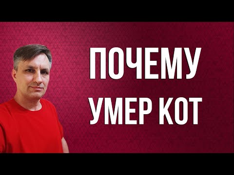 Видео: Не допустите, чтобы это случилось с вашей кошкой