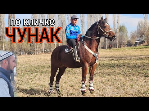 Видео: БУРКАН АКЕ ЧУНАКТЫН АЙЫБЫН АЙТТЫ