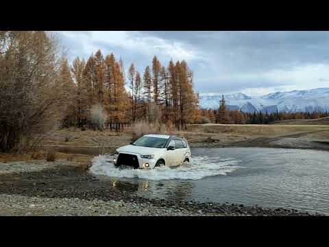 Видео: По Курайской степи