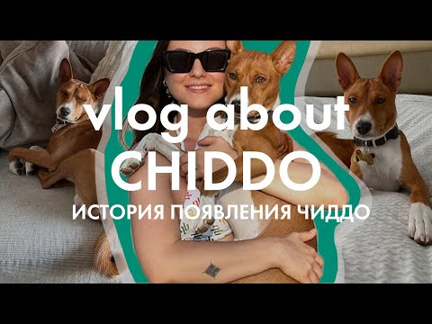 Видео: ЛУЧШАЯ СОБАКА БАСЕНДЖИ | MOVIE ABOUT BASENJI