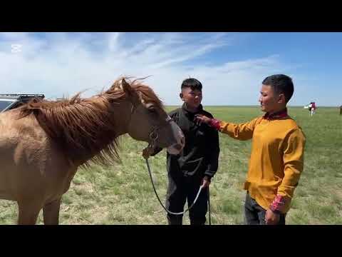 Видео: Ловх ноён уулын тахилга-2025 азарга