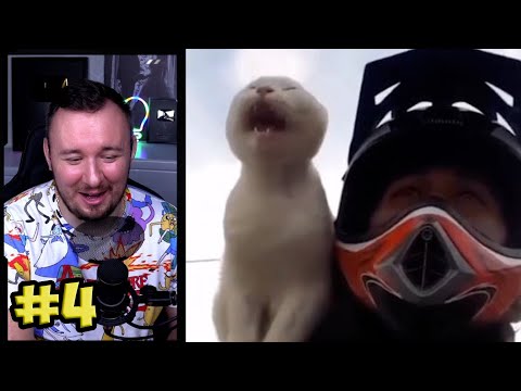 Видео: Тест на психику ► ЛУЧШИЕ ПРИКОЛЫ  #4