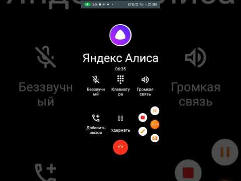 Видео: Яндекс Алиса купила дробаш!