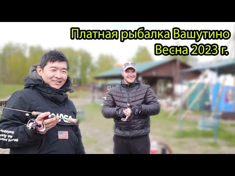 Видео: Форелевая рыбалка на платнике в Москве - Вашутино 2023 г.