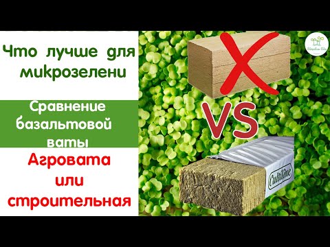 Видео: Агровата против строительной, что выбрать для микрозелени  Матрица для нарезки ваты