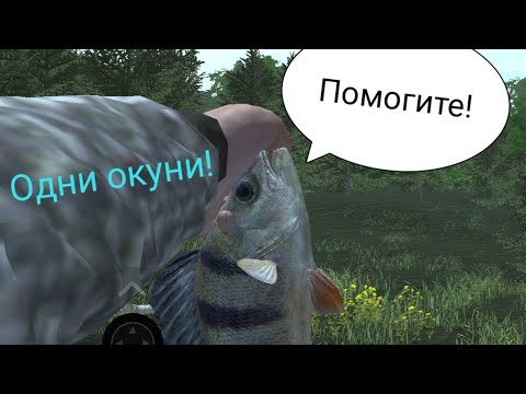 Видео: Одни окуни на спиннинг! | professional fishing simulator 2 | Aquaman