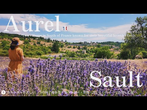 Видео: Лаванда в Орель и Со / Юг Франции / средневековая деревня / Андре Бойер / Покупки у производителя
