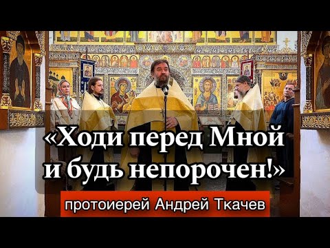 Видео: Когда люди пренебрегают Богом.. Протоиерей Андрей Ткачёв