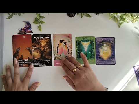 Видео: 🔮💌Хорвоо ертөнцөөс танд юу хэлэхийг хүсэж байна вэ? 