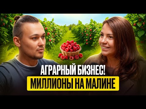 Видео: Малиновый бизнес! Как заработать МИЛЛИОНЫ на ягоде с нуля? От выбора земли до прибыли и масштаба