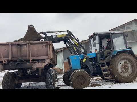 Видео: Хроника вывоза навоза