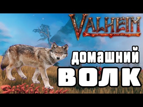 Видео: Valheim ➤ Как легко Приручить Волка ➤ Valheim Гайд