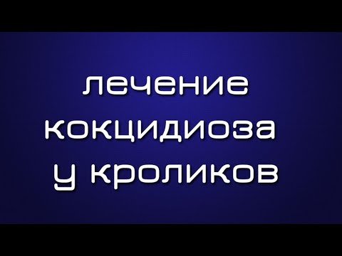 Видео: Лечение кокцидиоза у кроликов. Симптомы, причины, чем лечить кокцидиоз, профилактика.