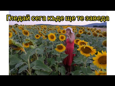 Видео: Къде да прекарате лятната почивка {бг черноморие едишън}