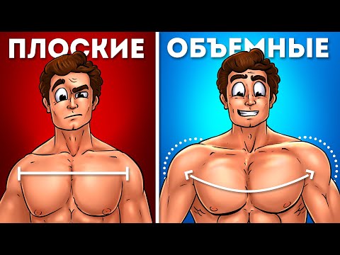 Видео: 7 УПРАЖНЕНИЙ ДЛЯ КРУГЛЫХ ПЛЕЧ!