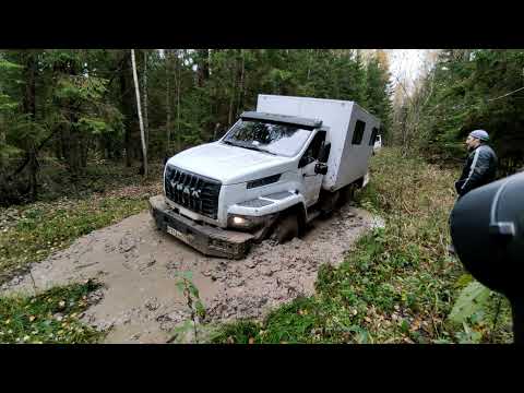 Видео: Глины много но мы не сдаёмся, Урал некст 4х4 и Садко некст продолжают замес!!!