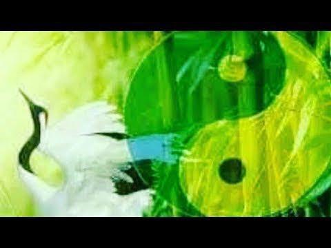Видео: Relax ✨ Qigong в прямом эфире! Третий месяц Осеннего 🍁 курса Цигун ☯️ Тайцзи !