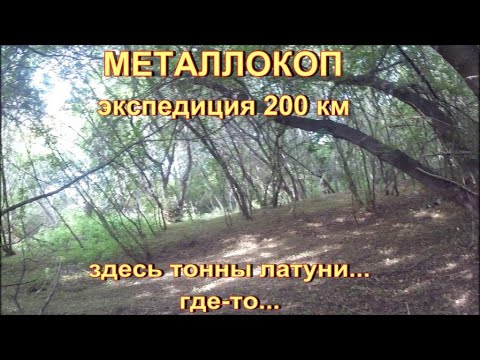 Видео: МЕТАЛЛОКОП. ЭКСПЕДИЦИЯ ЗА 200 км. ЗДЕСЬ ТОННЫ ЛАТУНИ... ГДЕ-ТО...