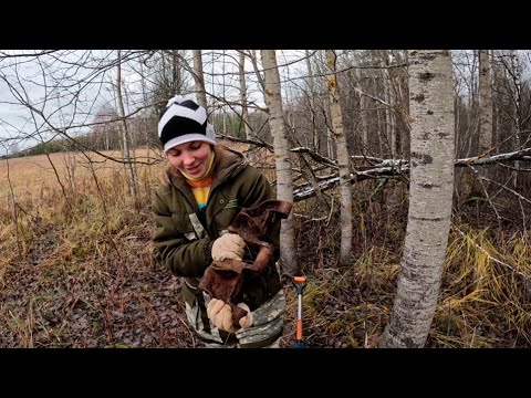 Видео: Коп с ТХ-850 и Quest Х5. Исследуем огромное поле.