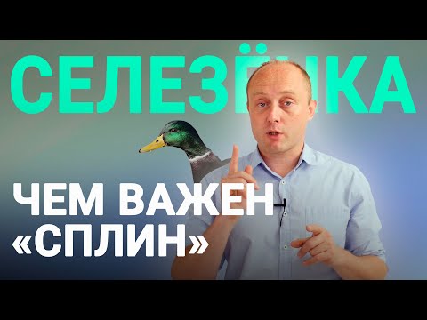 Видео: ЗАЧЕМ НУЖНА СЕЛЕЗЁНКА