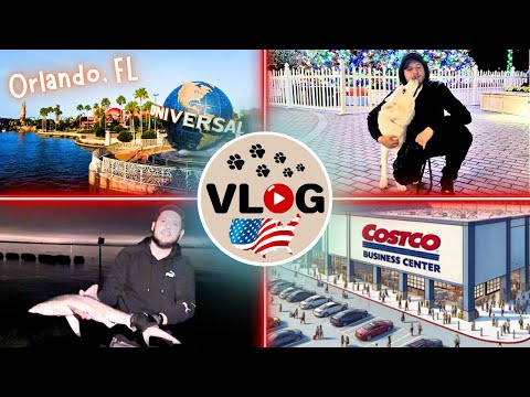 Видео: США🇺🇸VLOG | Едем в Орландо(по делам)🙃Costco Business Center☺️ Поймали Акулу🎣 и Пеликана🤨и Ската😠3-х😡