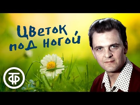 Видео: Юрий Яковлев читает рассказ "Цветок под ногой" Леонида Андреева (1986)