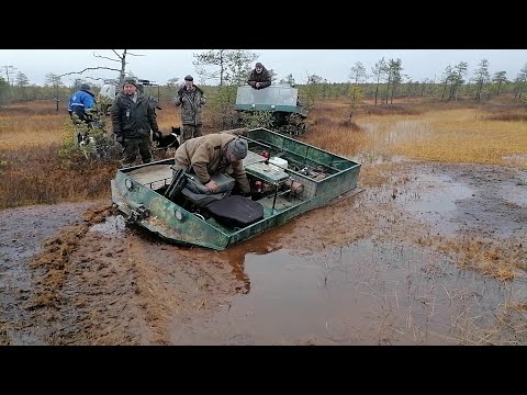 Видео: БОЛОТО!4 ВЕЗДЕХОДА!ИЩЕМ НОВЫЕ МЕСТА!