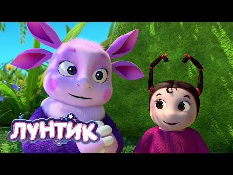 Видео: Лунтик ❤❤❤ День Святого Валентина ❤❤❤ Мультики для детей