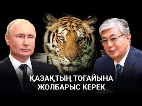 Видео: Жойылған Тұран жолбарысын Амур жолбарысы алмастырмақ / «Анығын айтсақ» 01.10.2021