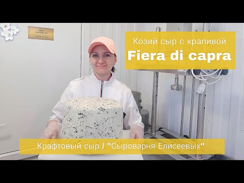 Видео: Крафтовый Сыр для ресторанов /Сыр с крапивой из козьего молока  "Fiera della capra/ Сыроварня Maggio