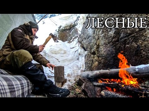 Видео: В ТАЙГЕ ЗИМОЙ С МИНИМАЛЬНЫМ СНАРЯЖЕНИЕМ | Горы Снег Бушкрафт - Winter Solo Overnight Bushcraft Camp