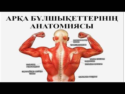 Видео: АРҚА БҰЛШЫҚЕТТЕРІ | беткей және терең