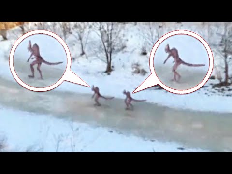 Видео: Оператор Заснял То, Что Никто Не Должен Был Увидеть |Паранормальные Новости #27