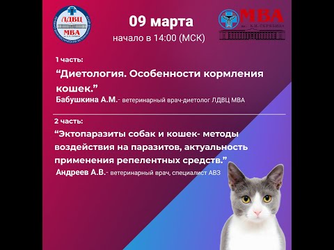 Видео: 1  Диетология  Особенности кормления кошек 2  Эктопаразиты собак и кошек  методы воздействия на пара