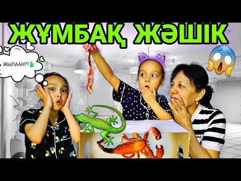 Видео: ЖҰМБАҚ ЖӘШІК😱🐍🦎🤦‍♀️ҚОРЫҚПАЙДЫ НЕГЕЕ😅#челлендж