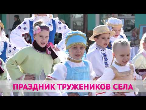 Видео: «Дожинки» в Бобруйском районе