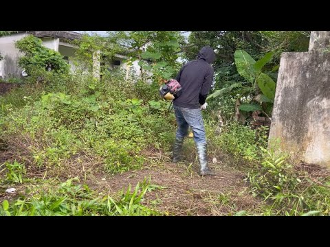Видео: Уберите заброшенный дом с заросшей лужайкой перед домом - преобразите красивый сад