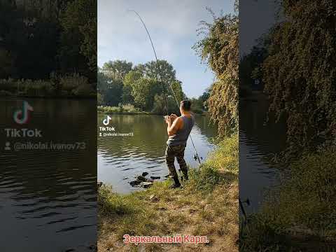 Видео: Рыбалка на Карпа осенью река Майн Германия Бавария. 08.09.2024