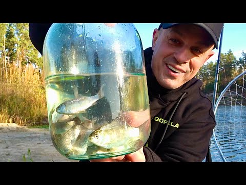 Видео: Сама уловиста снасть на хижака! Ловля щуки на живця  Рибалка на поплавок