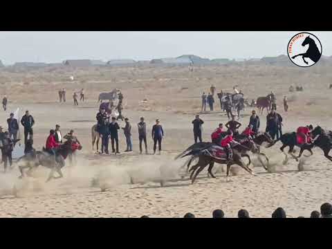 Видео: 15 ноябрь 2025 ж Нөкіс ипподромы Бақыт Ибрагимов 63 жас тойы